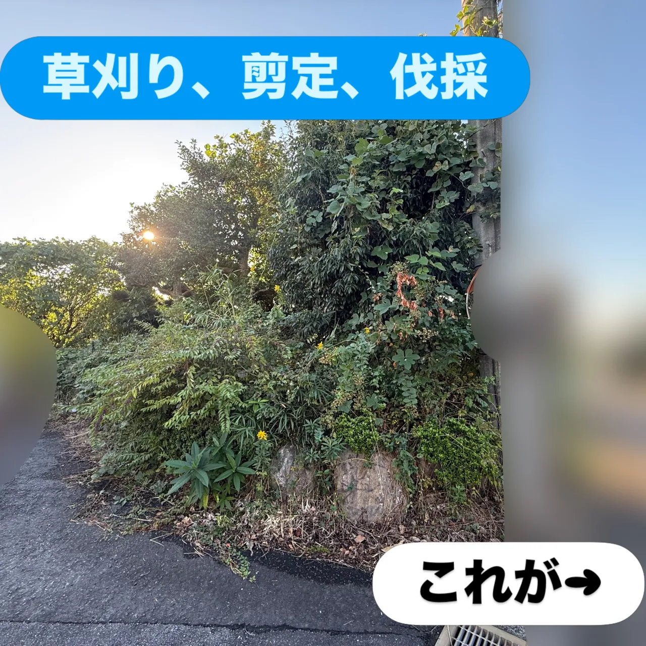 🌿【お庭のお困りごと、まごころが解決します!】🌿